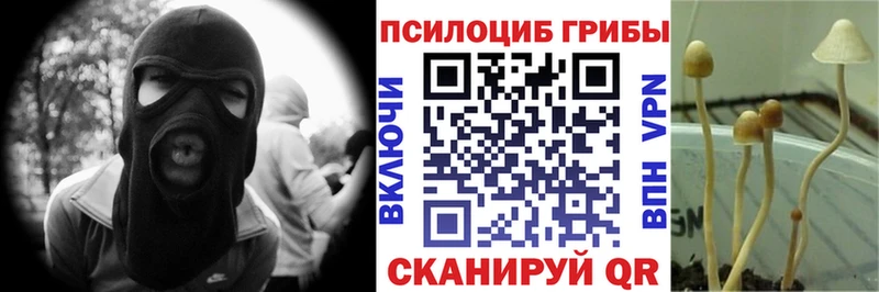 Галлюциногенные грибы MAGIC MUSHROOMS  как найти закладки  Мензелинск 